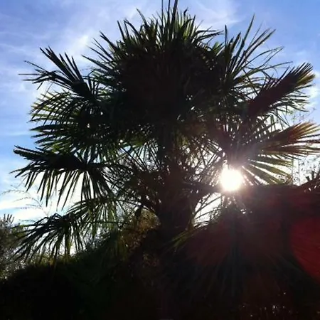 Les Glycines Bed & Breakfast 3*