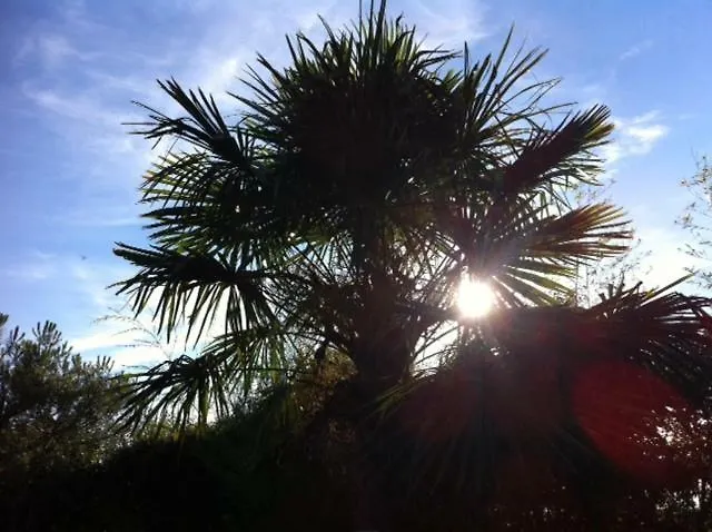 Les Glycines ベッド・アンド・ブレックファスト 4*